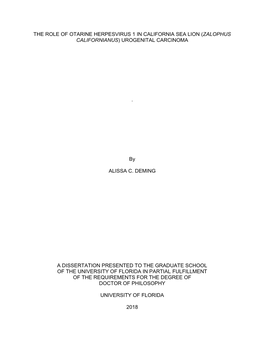 University of Florida Thesis Or Dissertation Formatting