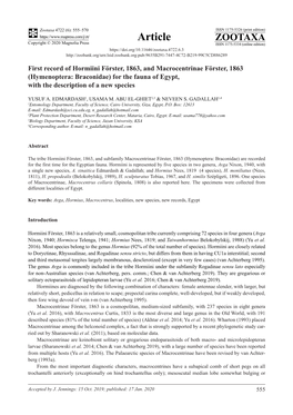 First Record of Hormiini Förster, 1863, and Macrocentrinae Förster, 1863 (Hymenoptera: Braconidae) for the Fauna of Egypt, with the Description of a New Species