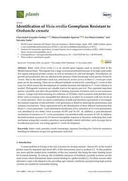 Identification of Vicia Ervilia Germplasm Resistant to Orobanche