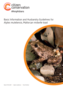 Basic Information and Husbandry Guidelines for Alytes Muletensis, Mallorcan Midwife Toad