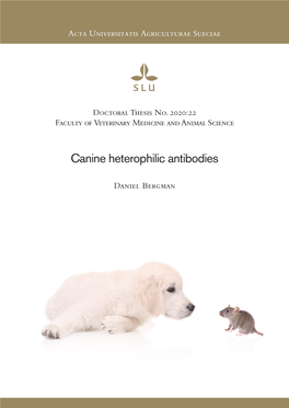 Canine Heterophilic Antibodies