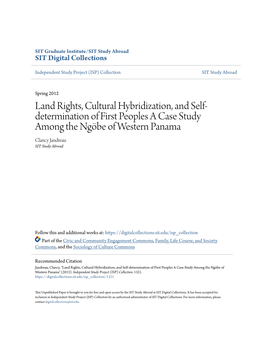 Land Rights, Cultural Hybridization, and Self-Determination of First Peoples a Case Study Among the Ngã¶Be of Western Panama