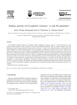 Surface Activity of Corophium Volutator: a Role for Parasites?