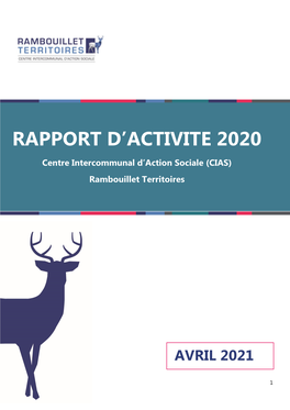 Rapport D'activités 2020