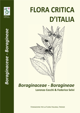 Boraginaceae - Boragineae Boraginaceae Boraginaceae - Boragineae Lorenzo Cecchi & Federico Selvi