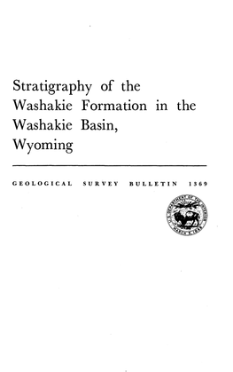 Stratigraphy of the Washakie Basin, Wyoming