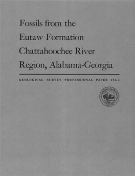 Fossils from the Eutaw Formation Chattahoochee River Region, Alabama-Georgia