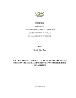 Master Thesis