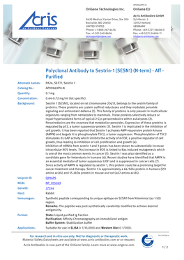 Polyclonal Antibody to Sestrin-1 (SESN1) (N-Term