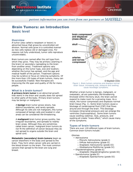 Brain Tumors: an Introduction Basic Level