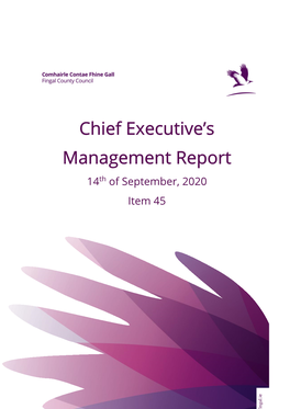 Chief Executive's Management Report