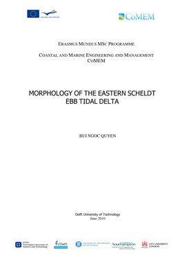 Morphology of the Eastern Scheldt Ebb Tidal Delta