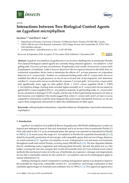 Interactions Between Two Biological Control Agents on Lygodium Microphyllum