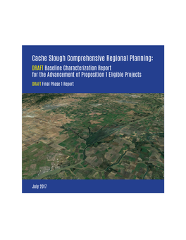 Cache Slough Comprehensive Regional Planning: DRAFT Baseline Characterization Report for the Advancement of Proposition 1 Eligible Projects