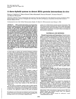 A Three-Hybrid System to Detect RNA-Protein Interactions in Vivo DHRUBA J