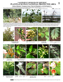 PLANTS of XE PIAN NATIONAL PROTECTED AREA 1 Bethany Elkington1,2, Kongmany Sydara3, Phaivanh Phiapalath4, and D