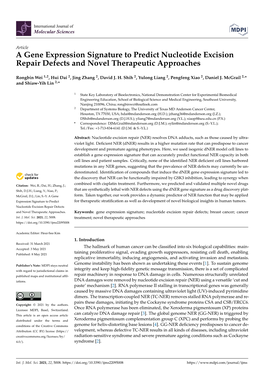 A Gene Expression Signature to Predict Nucleotide Excision Repair Defects and Novel Therapeutic Approaches