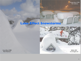 Lake Effect Snows