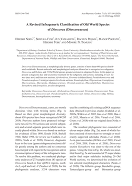 A Revised Infrageneric Classification of Old World Species of Dioscorea (Dioscoreaceae)