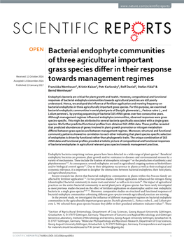 Bacterial Endophyte Communities of Three Agricultural Important Grass