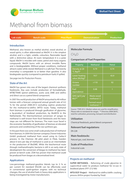 Methanol from Biomass