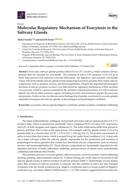 Molecular Regulatory Mechanism of Exocytosis in the Salivary Glands