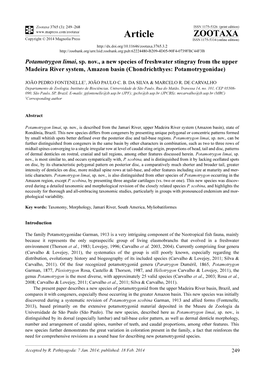 Potamotrygon Limai, Sp. Nov., a New Species of Freshwater Stingray from the Upper Madeira River System, Amazon Basin (Chondrichthyes: Potamotrygonidae)