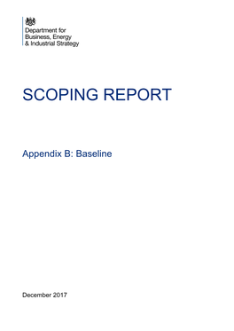 Scoping Report