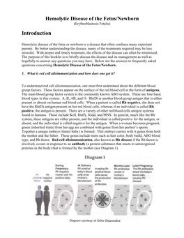 Hemolytic Disease of the Fetus/Newborn (Erythroblastosis Fetalis)