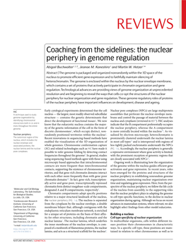 The Nuclear Periphery in Genome Regulation