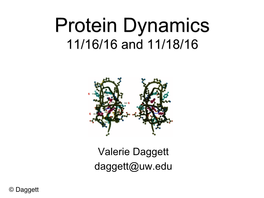 Protein Dynamics 11/16/16 and 11/18/16