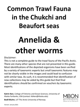 Annelida & Other Worms