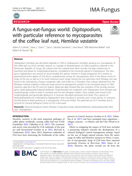 Digitopodium, with Particular Reference to Mycoparasites of the Coffee Leaf Rust, Hemileia Vastatrix Adans A