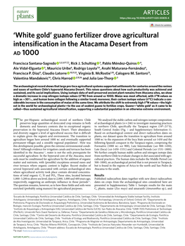 Guano Fertilizer Drove Agricultural Intensification in the Atacama Desert from Ad 1000