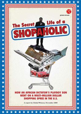 The Secret Life of a Shopaholic | 1