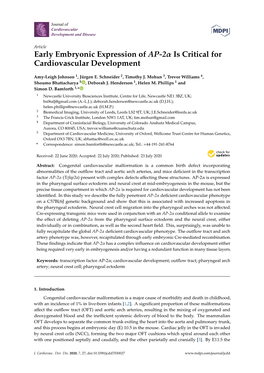 Early Embryonic Expression of AP-2 Is Critical for Cardiovascular Development