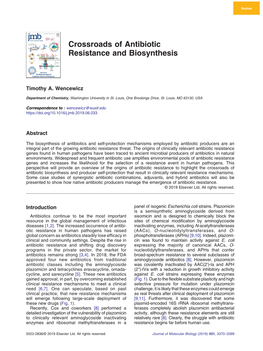 Crossroads of Antibiotic Resistance and Biosynthesis