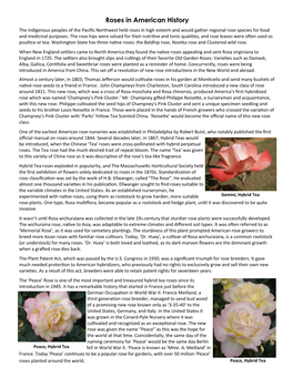 History of Roses in America