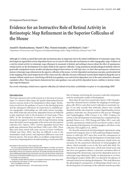 Evidence for an Instructive Role of Retinal Activity in Retinotopic Map Refinement in the Superior Colliculus of the Mouse