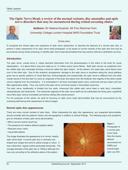 The Optic Nerve Head; a Review of the Normal Variants, Disc Anomalies and Optic Nerve Disorders That May Be Encountered During Retinal Screening Clinics