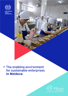 The Enabling Environment for Sustainable Enterprises in Moldova