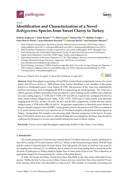 Identification and Characterization of a Novel Robigovirus Species From