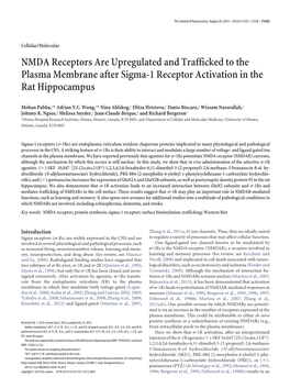 NMDA Receptors Are Upregulated and Trafficked to the Plasma Membrane After Sigma-1 Receptor Activation in the Rat Hippocampus