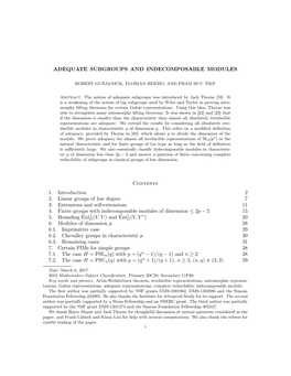 Adequate Groups and Indecomposable Modules