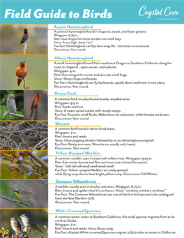 Field Guide to Birds Anna's Hummingbird a Common Hummingbird Found in Chaparral, Woods, and Flower Gardens