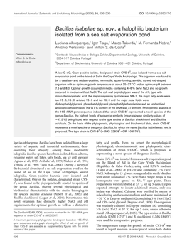 Bacillus Isabeliae Sp. Nov., a Halophilic Bacterium Isolated from a Sea Salt Evaporation Pond