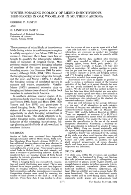 Winter Foraging Ecology of Mixed Insectivorous Bird Flocks in Oak Woodland in Southern Arizona