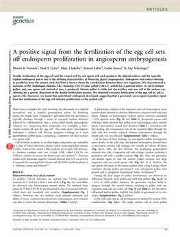 A Positive Signal from the Fertilization of the Egg Cell Sets Off Endosperm Proliferation in Angiosperm Embryogenesis