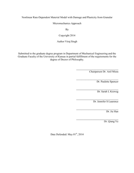 Nonlinear Rate-Dependent Material Model with Damage and Plasticity from Granular