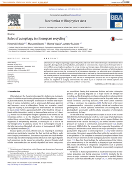 Roles of Autophagy in Chloroplast Recycling☆